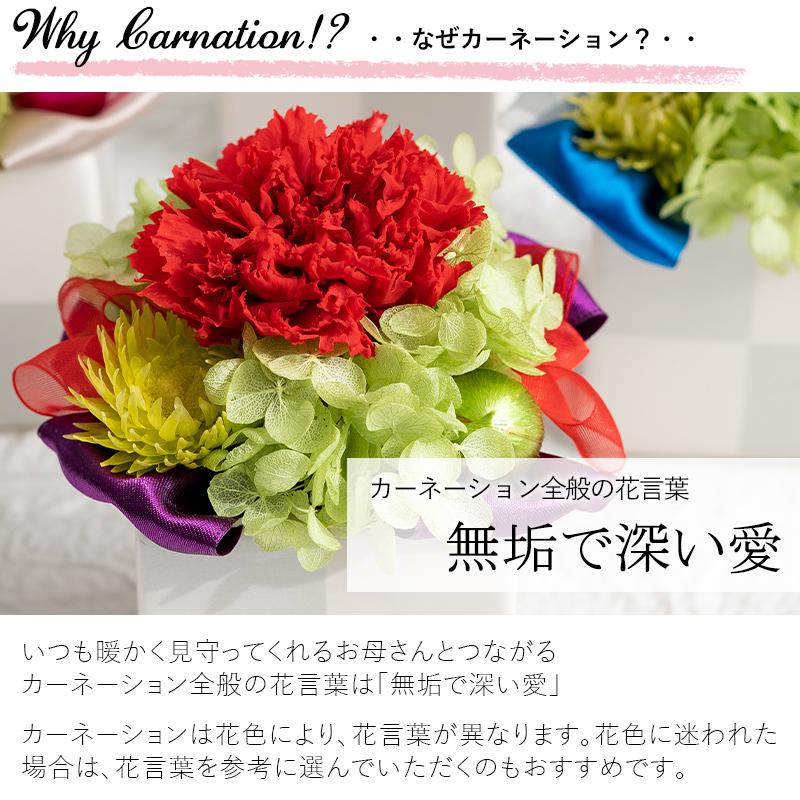 プリザーブドフラワー 誕生日 プレゼント 女性 母 祖母 ギフト 結婚祝い 枯れない 花 お祝い 贈り物 ピッコロカーネ ケース入り ブリザードフラワー 90 Flabel 通販 Yahoo ショッピング