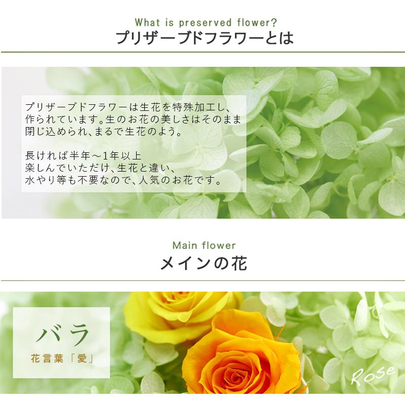 プリザーブドフラワー 仏花 花巡 仏壇用 お供え お悔やみ 花 お彼岸 お供え物 法事 一周忌 法要 お供え花 ブリザード 9030 Flabel 通販 Yahoo ショッピング