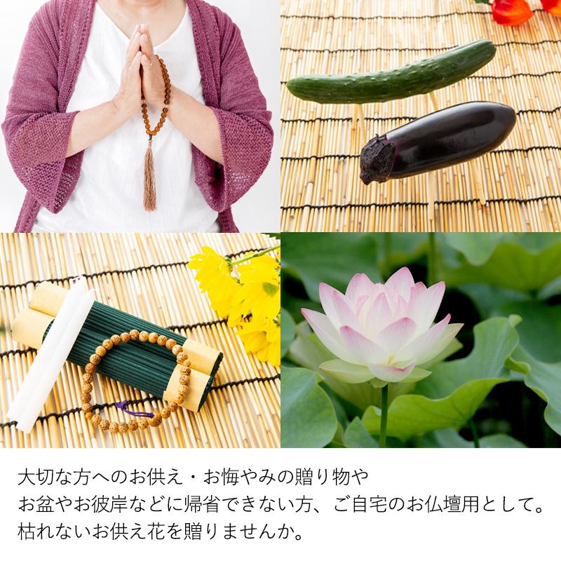 お供え 仏花 プリザーブドフラワー 仏壇用 風花 ブリザードフラワー お彼岸 お供え花 お悔やみ 贈り物 法事 お供え物 一周忌 三回忌 命日 9032 Flabel 通販 Yahoo ショッピング