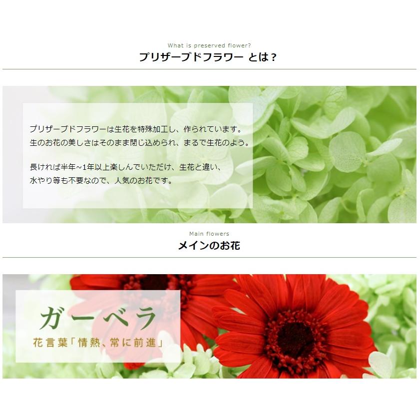 プリザーブドフラワー 母の日 21 花束 スワッグ おしゃれ 壁掛け 花 誕生日 プレゼント 女性 女友達 母 退職 結婚祝い ハーバルスワッグ 9033 Flabel 通販 Yahoo ショッピング