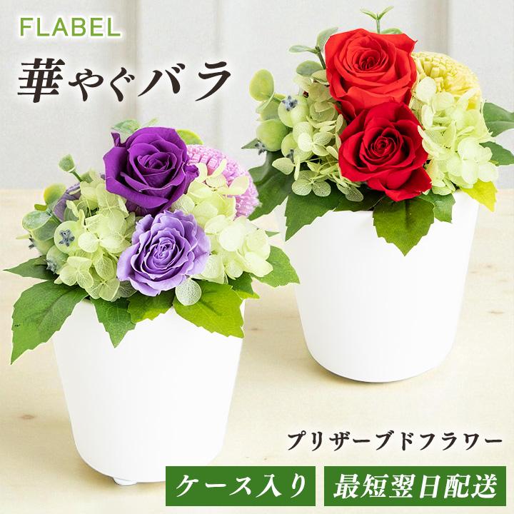 プリザーブドフラワー Ensemble アンサンブル プレゼント バラ アレンジメント お誕生日 お花 ブリザードフラワー ギフト ケース入り 9051 Flabel 通販 Yahoo ショッピング