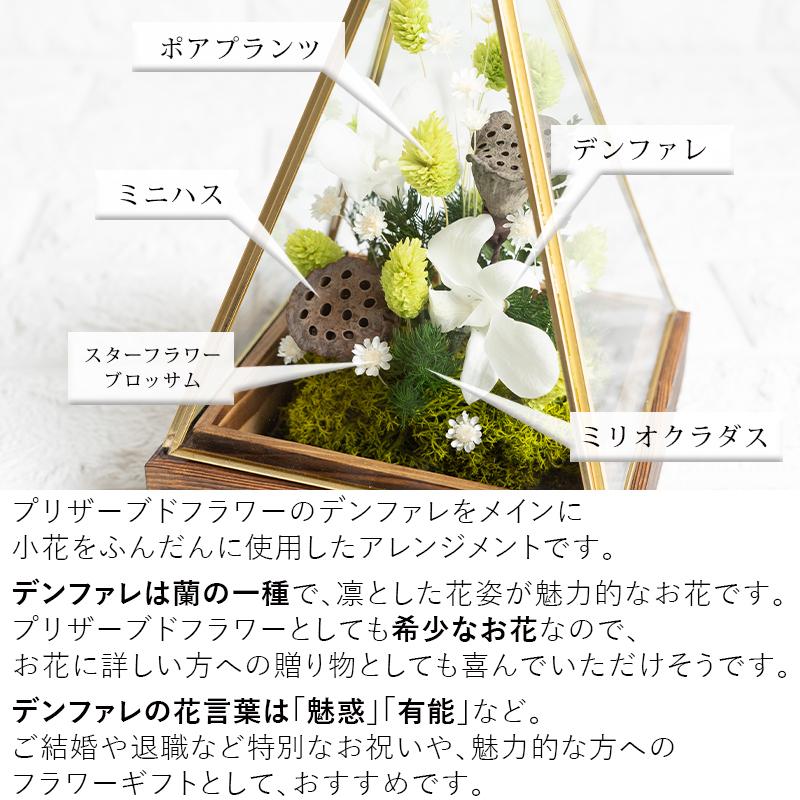 プリザーブドフラワー ライスフラワー 40g前後 ライトピンク 人気ブランド多数対象 40g前後