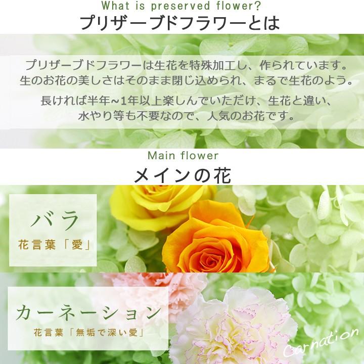 超特価激安 プリザーブドフラワー 結婚祝い 還暦祝い 退職祝い 結婚記念日 花 誕生日 プレゼント 妻 女性 バラ おしゃれ ボックスフラワー フレンチローズ 9074 Flabel 通販 Yahoo ショッピング 激安の Www Iccostierovico Edu It