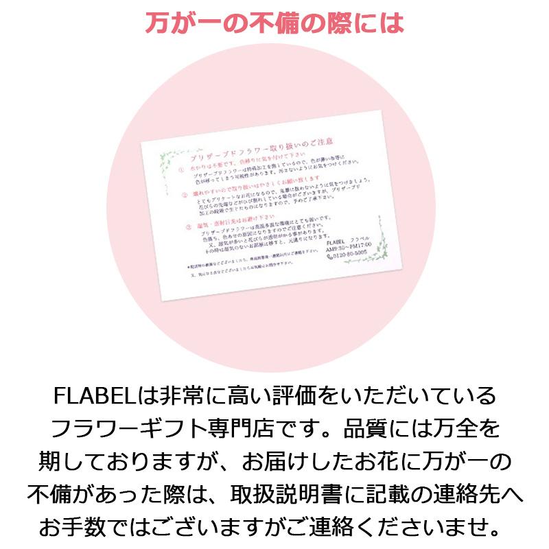 プリザーブドフラワー 花 ホワイトデー 退職祝い 送別会 誕生日 プレゼント 女性 母 女友達 ブリザードフラワー はないろバスケット 9076 Flabel 通販 Yahoo ショッピング