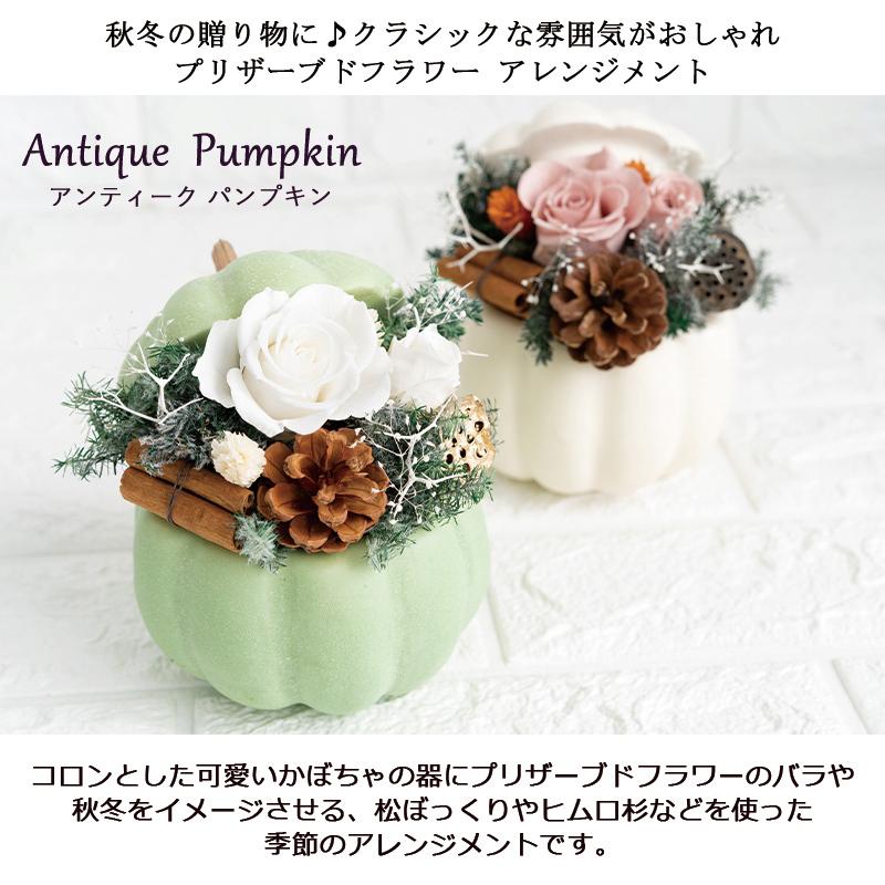プリザーブドフラワー アンティークパンプキン フラワーアレンジメント プレゼント 花 バラ 即日発送 9077 Flabel 通販 Yahoo ショッピング