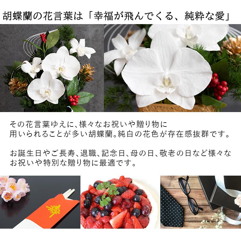 プリザーブドフラワー Amamitsuki 胡蝶蘭 ケース入り 退職祝い 花 定年 ギフト お祝い 誕生日 プレゼント 女性 母 祖母 卒寿 白寿 ブリザードフラワー 9080 Flabel 通販 Yahoo ショッピング