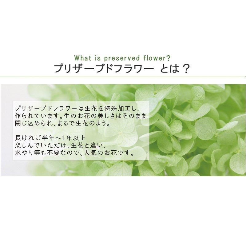 仏花 プリザーブドフラワー お供え お悔やみ 花 初七日 四十九日 一周忌 命日 法事 お供え物 ブリザードフラワー 胡蝶蘭 安らぎ 9128 Flabel 通販 Yahoo ショッピング