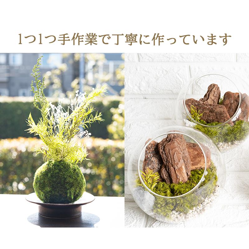 吊り下げ式　インテリアグリーン　 A フェイクグリーン ウォールハンギング ファーン シダ スレート