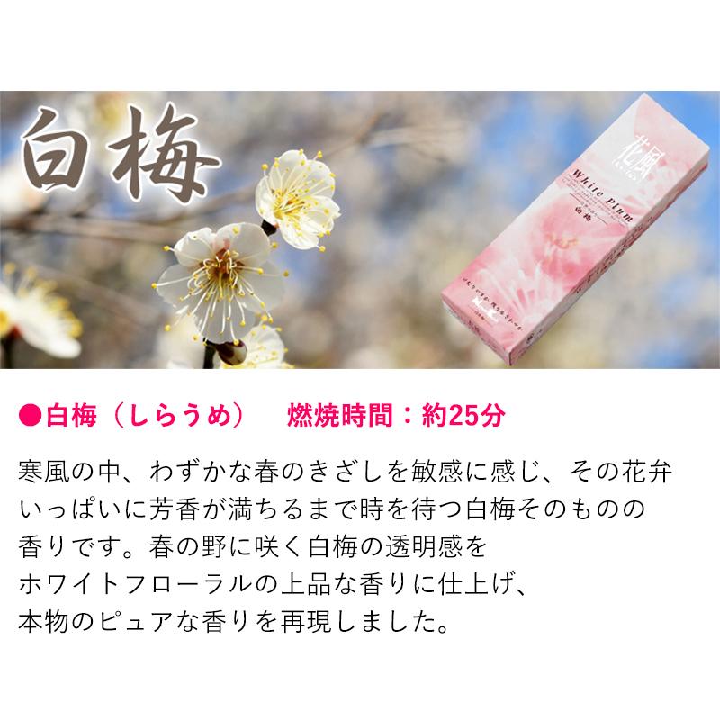 仏花 プリザーブドフラワー お供え 花祈り お線香セット お悔やみ お供え花 一周忌 三回忌 命日 お供え物 喪中見舞い 贈り物 :9149:FLABEL - 通販 - Yahoo!ショッピング 仏花 プリザーブドフラワー お供え 花祈り お線香セット お悔やみ お供え花 一周忌 三回忌 命日 お供え物 喪中見舞い 贈り物 :9149:FLABEL - 通販 - Yahoo!ショッピング