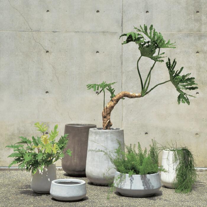 6号用 植木鉢 キューブ Cube 22 テラメント 軽量 大型 プランター 植物 おしゃれ 鉢 屋外 屋内 大きい 鉢カバー テラコッタ 観葉植物 庭木 パティオ バルコニー 910 100 ふらここ植物エアプランツ鉢食器店 通販 Yahoo ショッピング