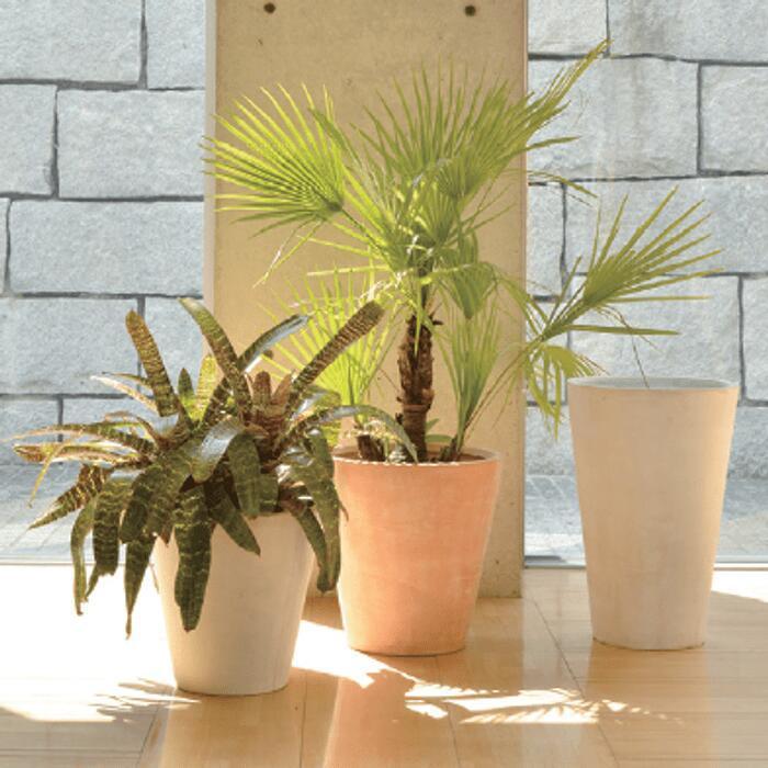 6号用 植木鉢 キューブ Cube 22 テラメント 軽量 大型 プランター 植物 おしゃれ 鉢 屋外 屋内 大きい 鉢カバー テラコッタ 観葉植物 庭木 パティオ バルコニー 910 100 ふらここ植物エアプランツ鉢食器店 通販 Yahoo ショッピング