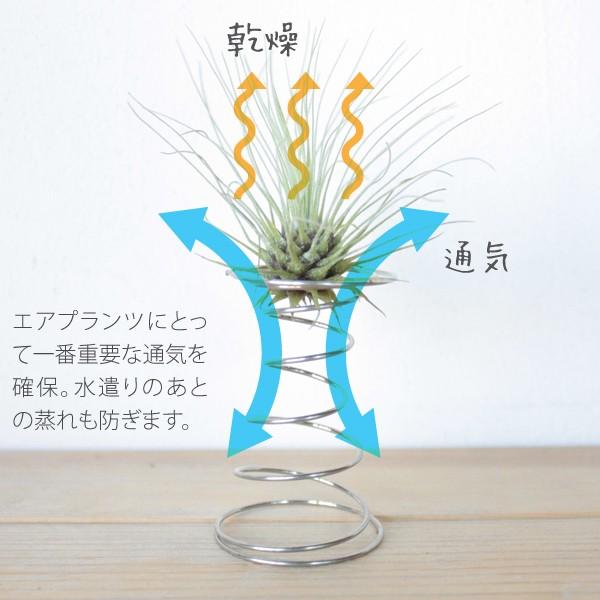 ぐるぐるスツール エアプランツ専用ホルダー Gr Stool 001 エアプランツ観葉植物ふらここ 通販 Yahoo ショッピング
