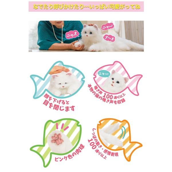 あなたのパートナー しっぽふりふり あまえんぼうねこちゃん あなたのパートナー しっぽふりふり あまえんぼうねこちゃん