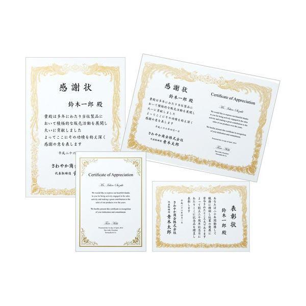 日本メーカー保証付き TANOSEE レーザープリンタ用厚紙用紙 A3 1セット(500枚：100枚×5冊)