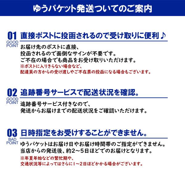 FIRSTDOWN thebasic ファーストダウン ハイネック タートル メンズ フリースカットソー 裏起毛 カチオン杢染 長袖 トップス A2E【パケ1】【A】｜flagon｜31