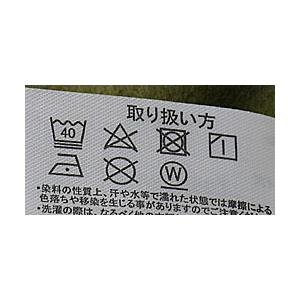 スウェット トレーナー 裏起毛 メンズ ハーフジップ スタンド プルオーバー アノラック カンガルーポケット 秋冬 暖かい 無地カラー トップス B5H【パケ1】【A】 | FLAG ON CREW | 16