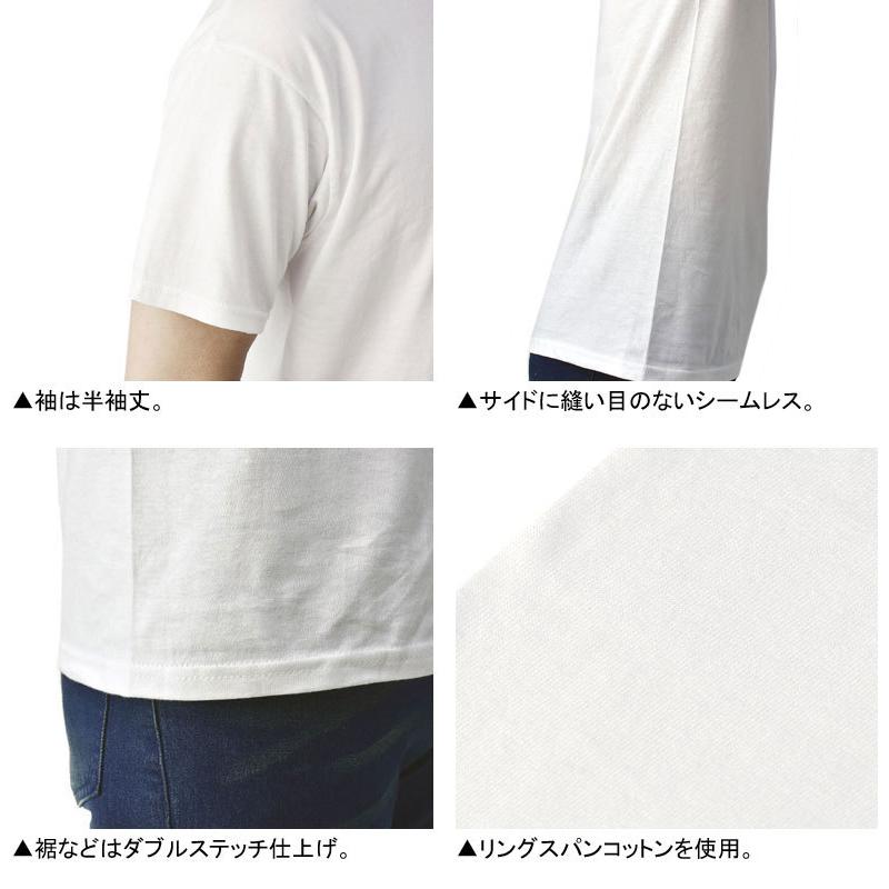 Hanes ヘインズ 3枚組 白T Tシャツ メンズ 半袖 クルーネック インナー 3P HM1EU701 HM1EU705S C3M【パケ1】【A】｜flagon｜11