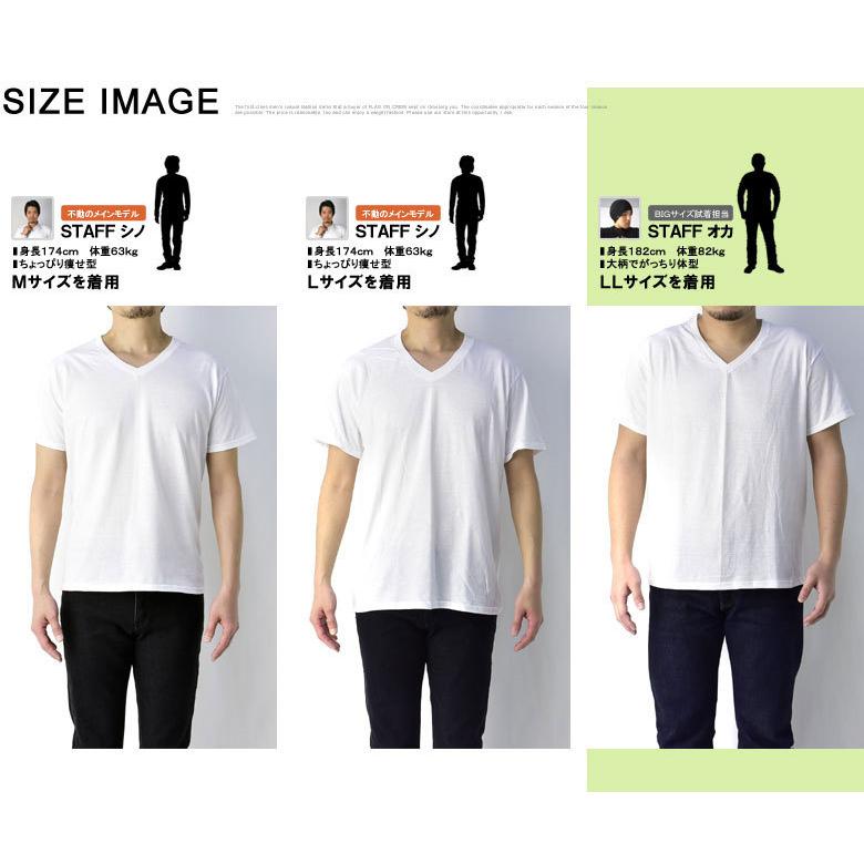 Hanes Tシャツ 無地 半袖 白 白T ヘインズ 3枚組 Vネック メンズ