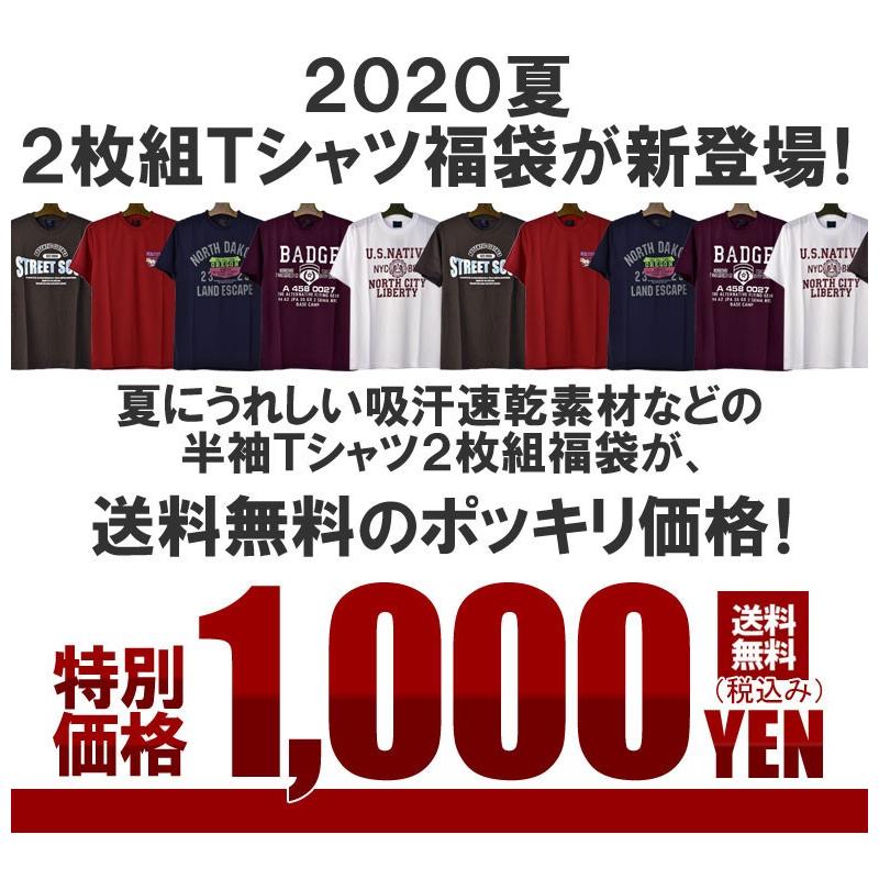 ★限定お一人様2セットまで★Tシャツ 2枚入り 福袋 メンズ 半袖Tシャツ ランダム2点入 F1T【パケ1】｜flagon｜02