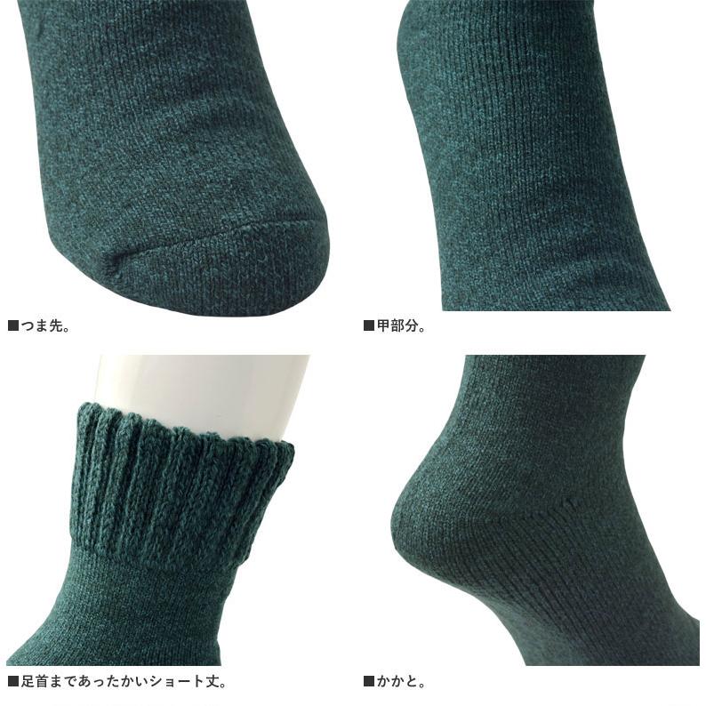 ホカロン 履くホカロン 靴下 分厚くしっかり暖かい 発熱加工ソックス 2