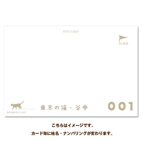 東京の猫ポストカードシリーズ Cat in Tokyo 027〈後楽園〉 ムーングラフィックス FLAGS |  | 01