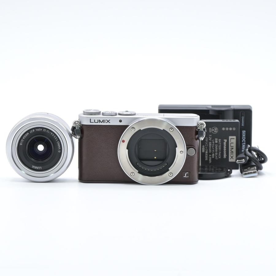 Panasonic パナソニック DMC-GM1S レンズキット ブラウン | 