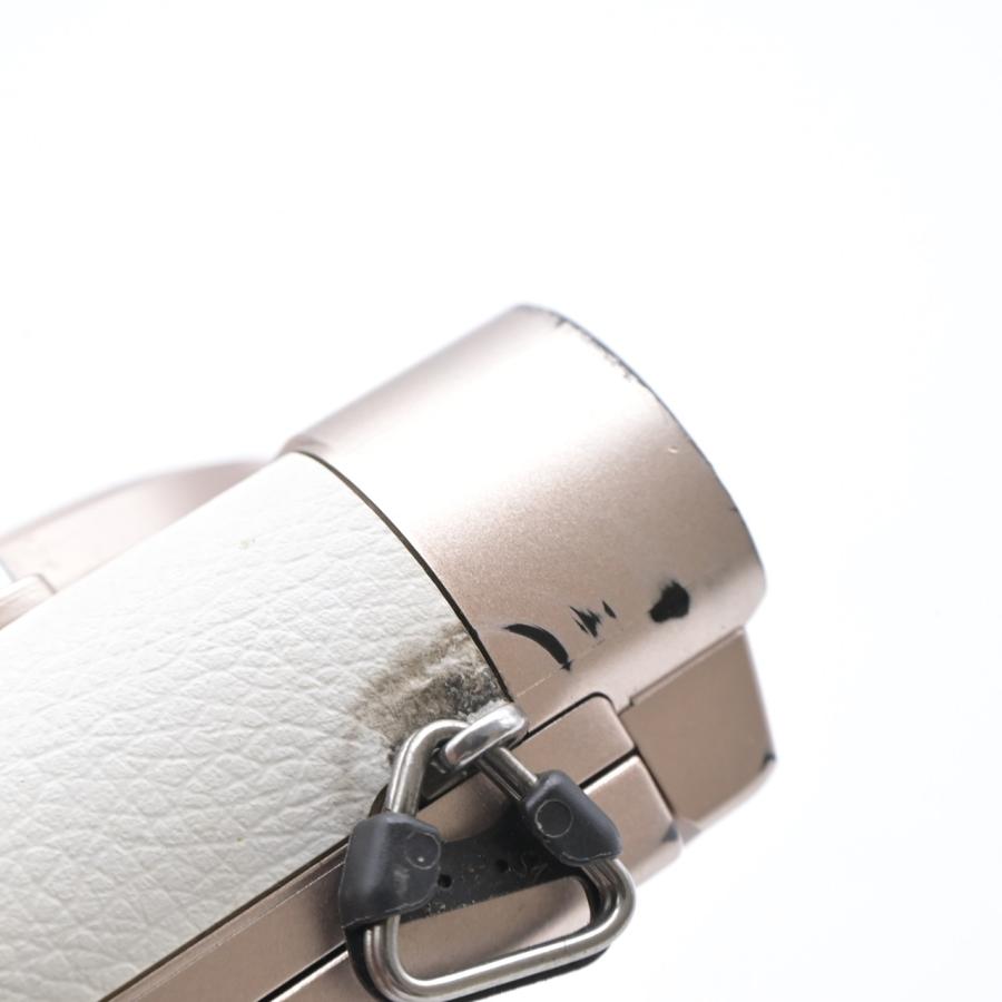 Panasonic パナソニック LUMIX GF10 ダブルレンズキット ホワイト DC-GF10W-W |  | 12