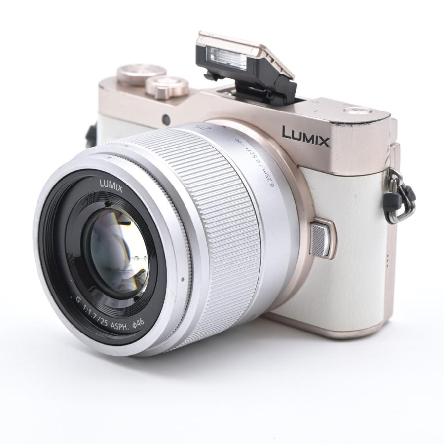 Panasonic パナソニック LUMIX GF10 ダブルレンズキット ホワイト DC