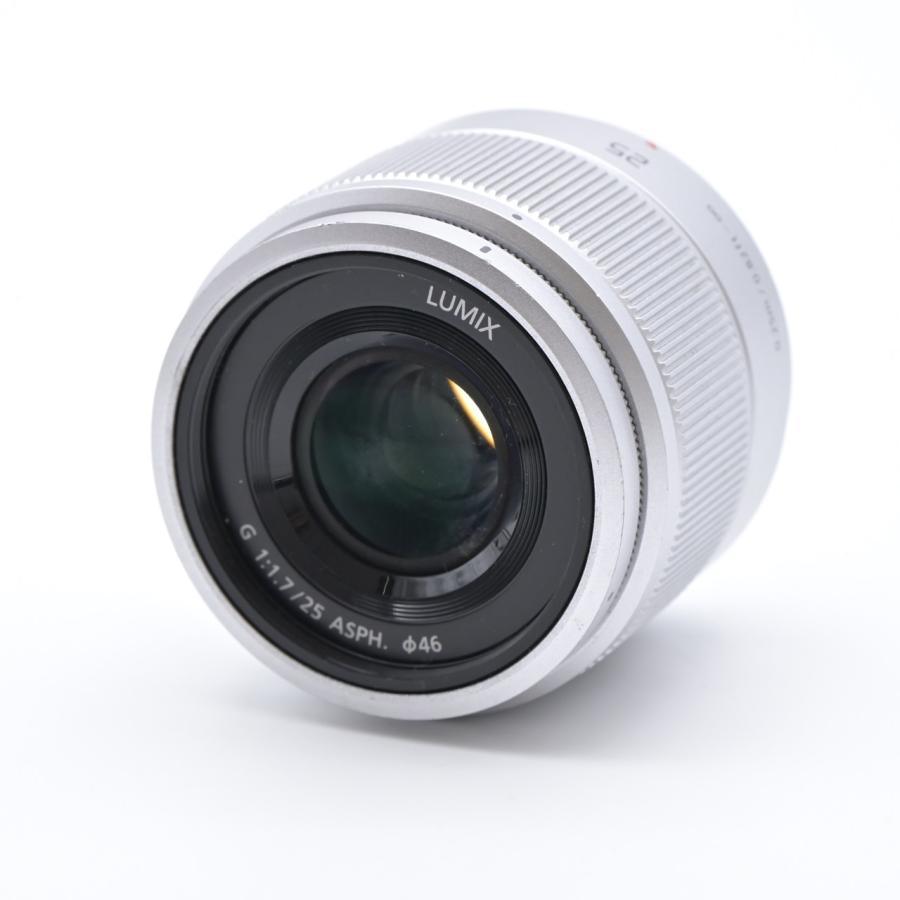 Panasonic パナソニック LUMIX GF10 ダブルレンズキット ホワイト DC