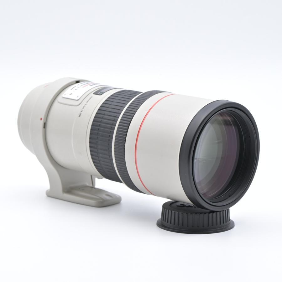 Canon キヤノン EF300mm F4L IS USM |  | 02