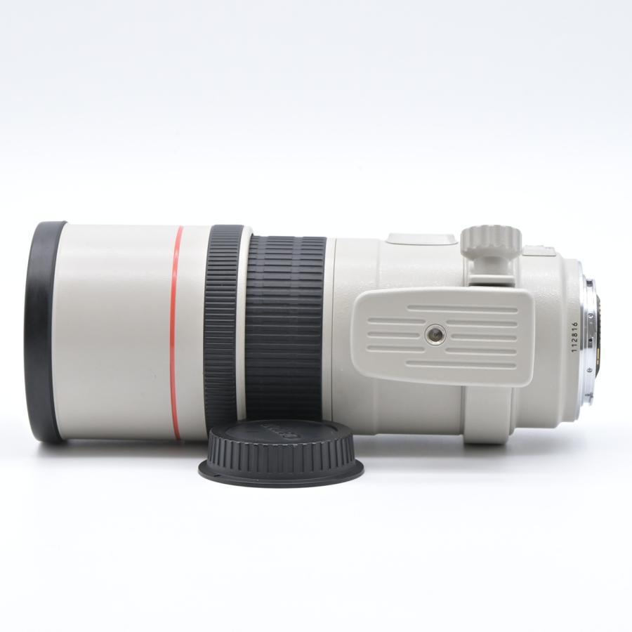 Canon キヤノン EF300mm F4L IS USM |  | 05