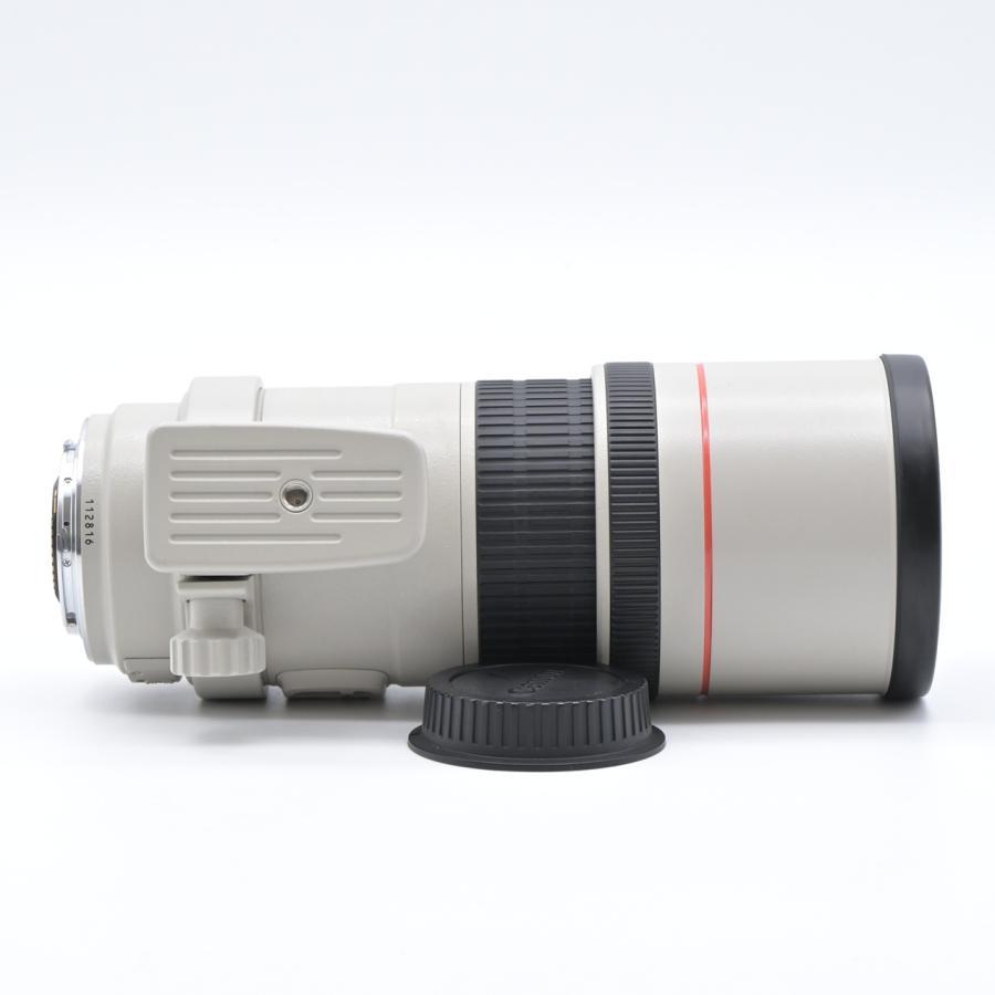 Canon キヤノン EF300mm F4L IS USM |  | 06