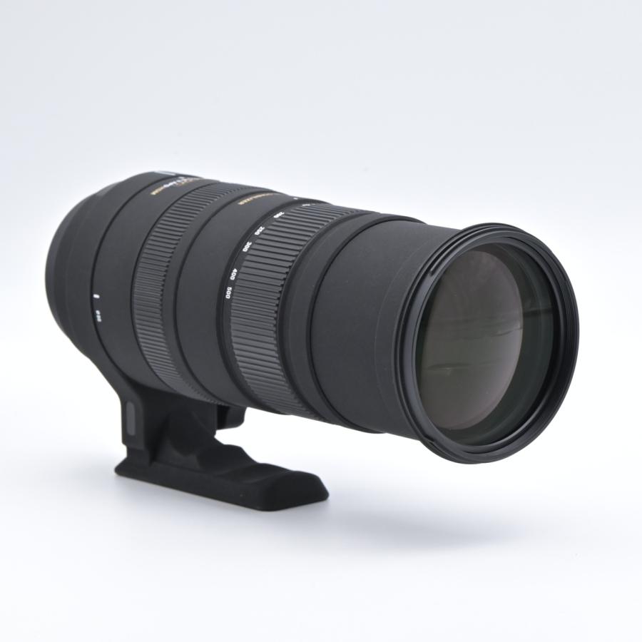 SIGMA シグマ APO 150-500mm F5-6.3 DG OS HSM ペンタックス用