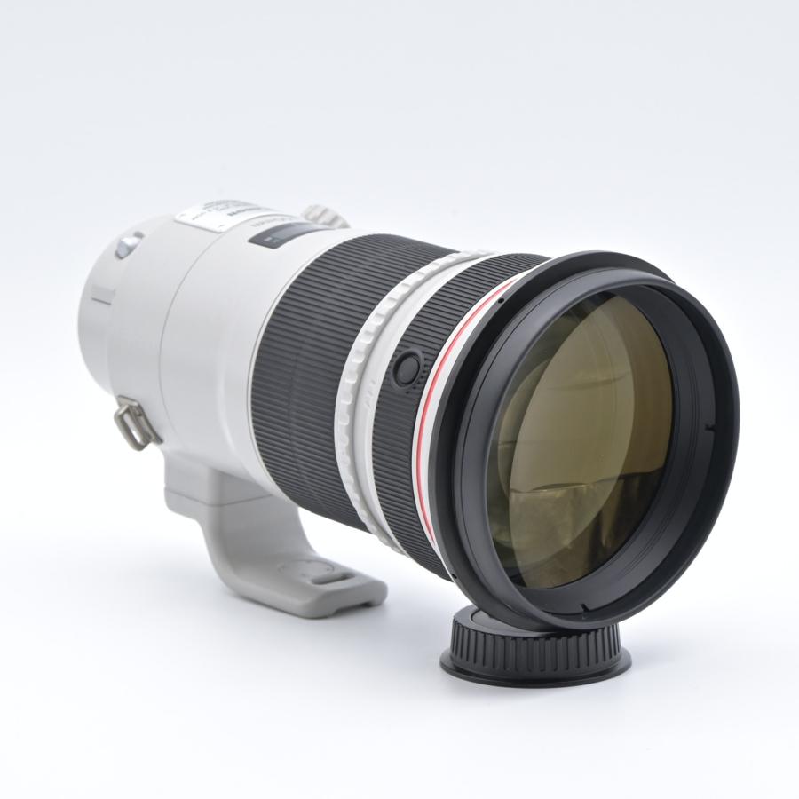 Canon キヤノン EF300mm F2.8L IS II USM |  | 02