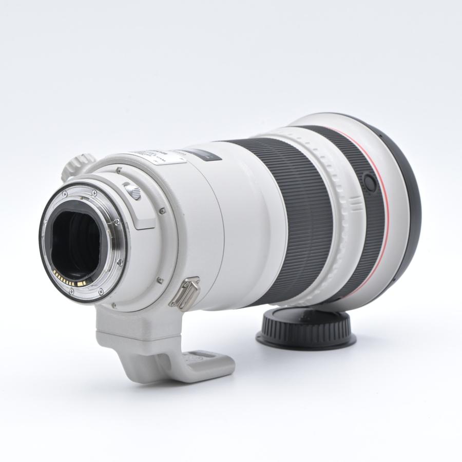 Canon キヤノン EF300mm F2.8L IS II USM |  | 03