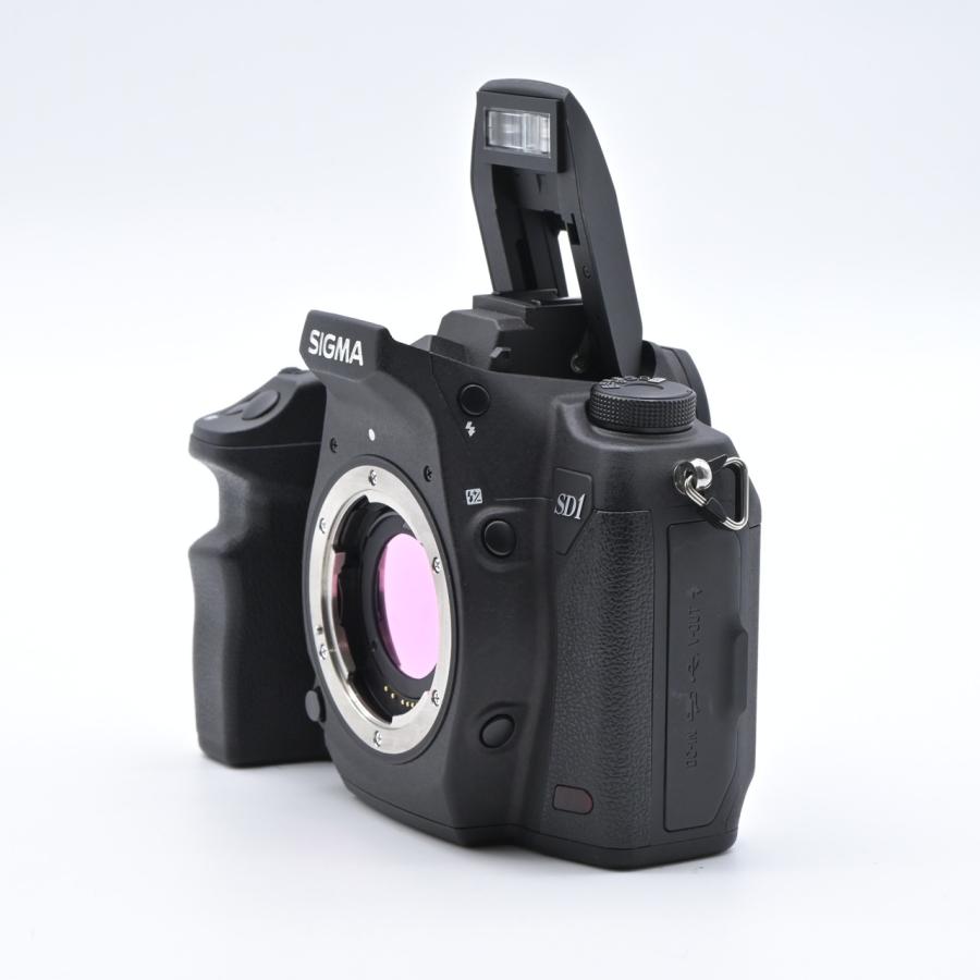 SIGMA シグマ SD1 Merrill ボディ 4600万画素 FoveonX3ダイレクトイメージセンサー |  | 07