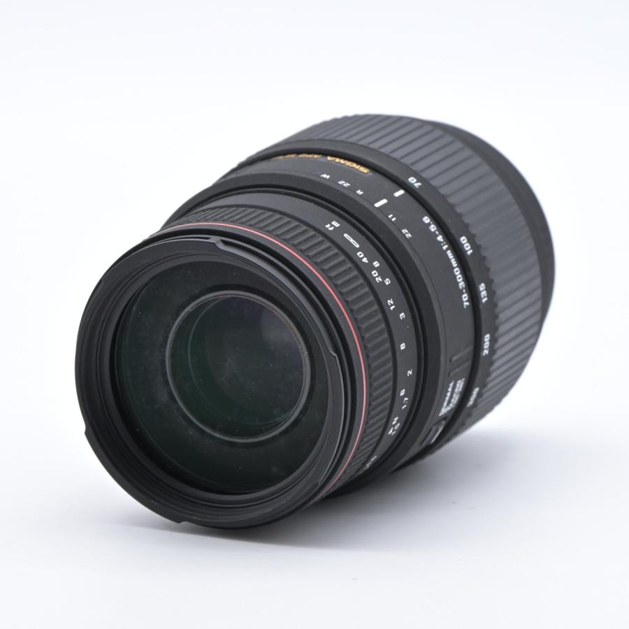 SIGMA シグマ APO 70-300mm F4-5.6 DG MACRO ソニー用 : フラッグ