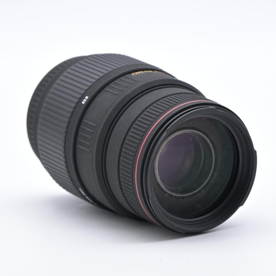 SIGMA シグマ APO 70-300mm F4-5.6 DG MACRO ソニー用 : フラッグ