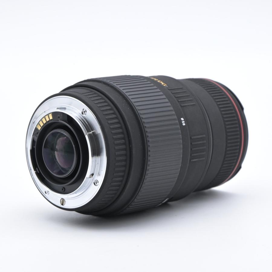 SIGMA シグマ APO 70-300mm F4-5.6 DG MACRO ソニー用 : フラッグ