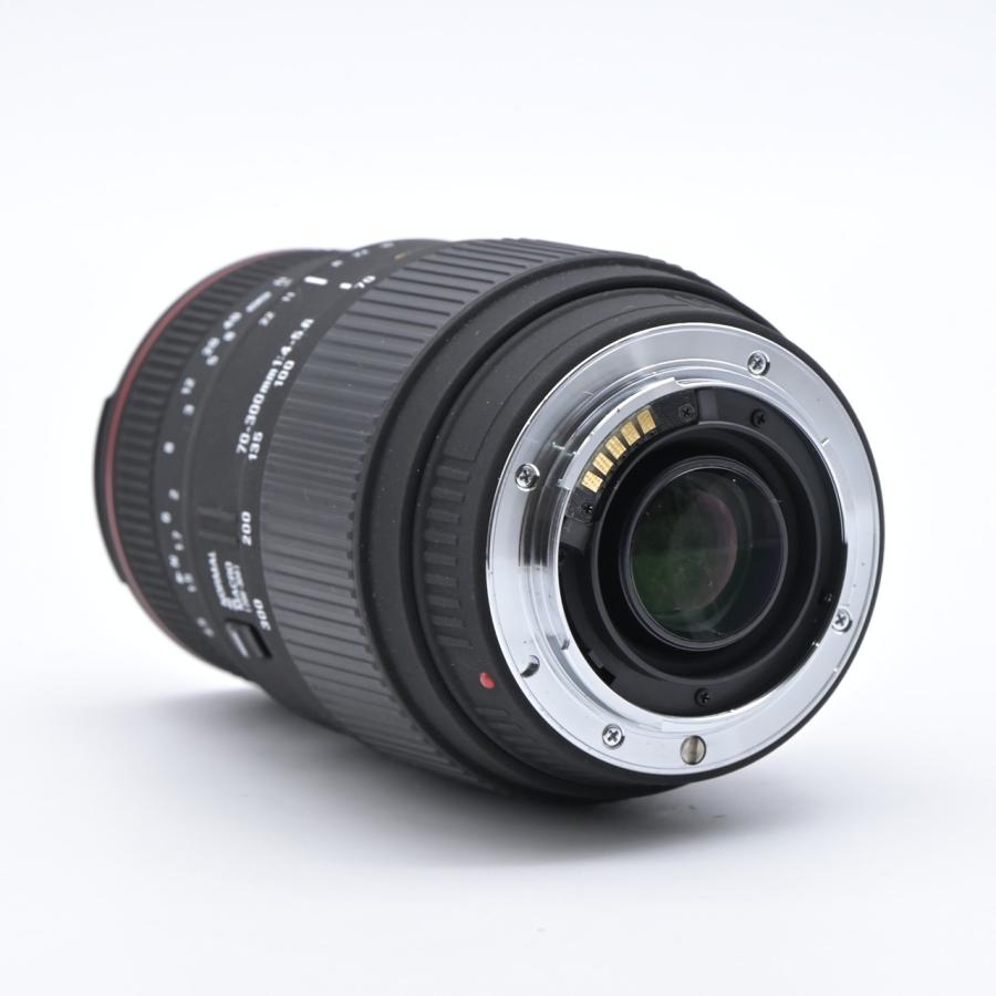 SIGMA シグマ APO 70-300mm F4-5.6 DG MACRO ソニー用 : フラッグ
