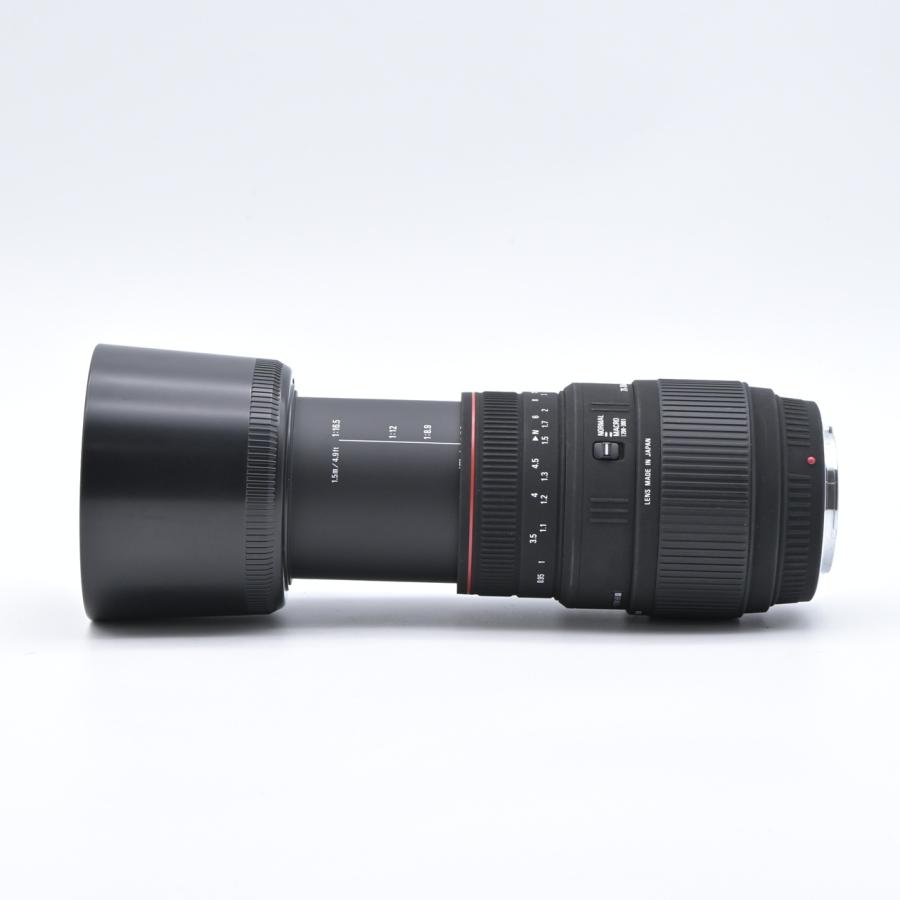 SIGMA シグマ APO 70-300mm F4-5.6 DG MACRO ソニー用 : フラッグ