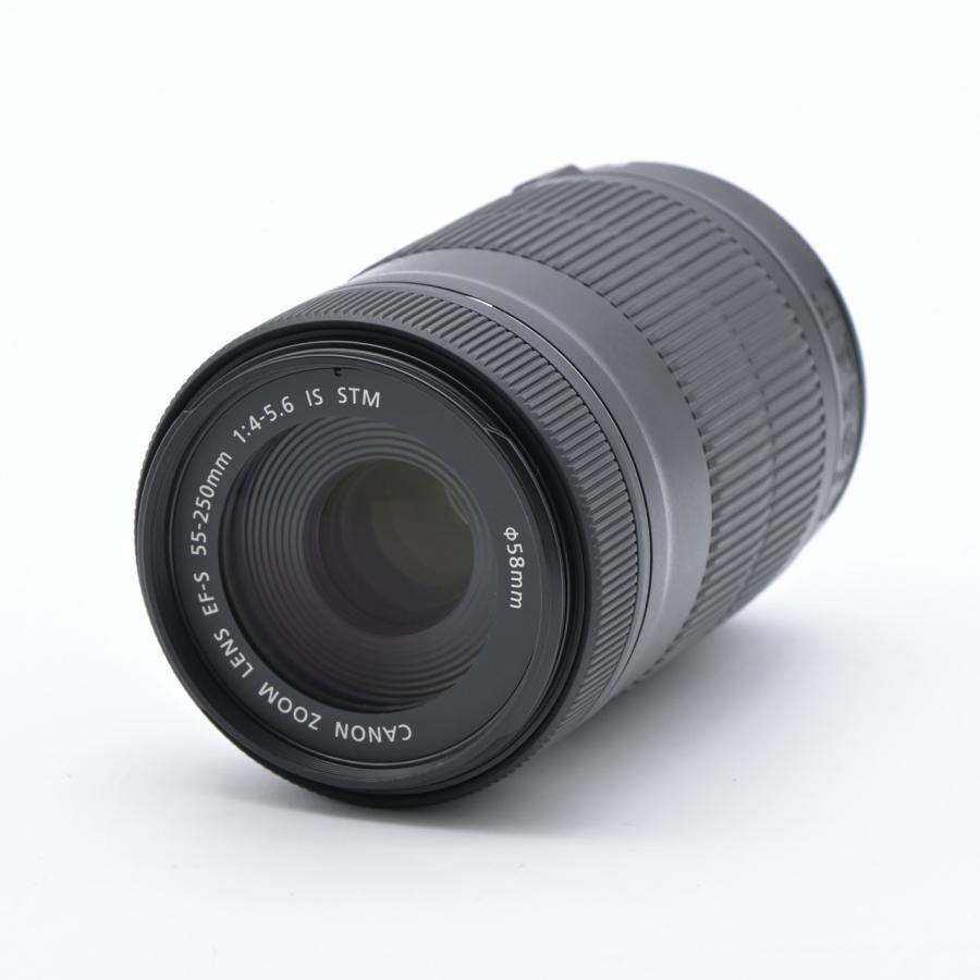 Canon キヤノン EOS Kiss X9 ブラック ダブルズームキット : フラッグ