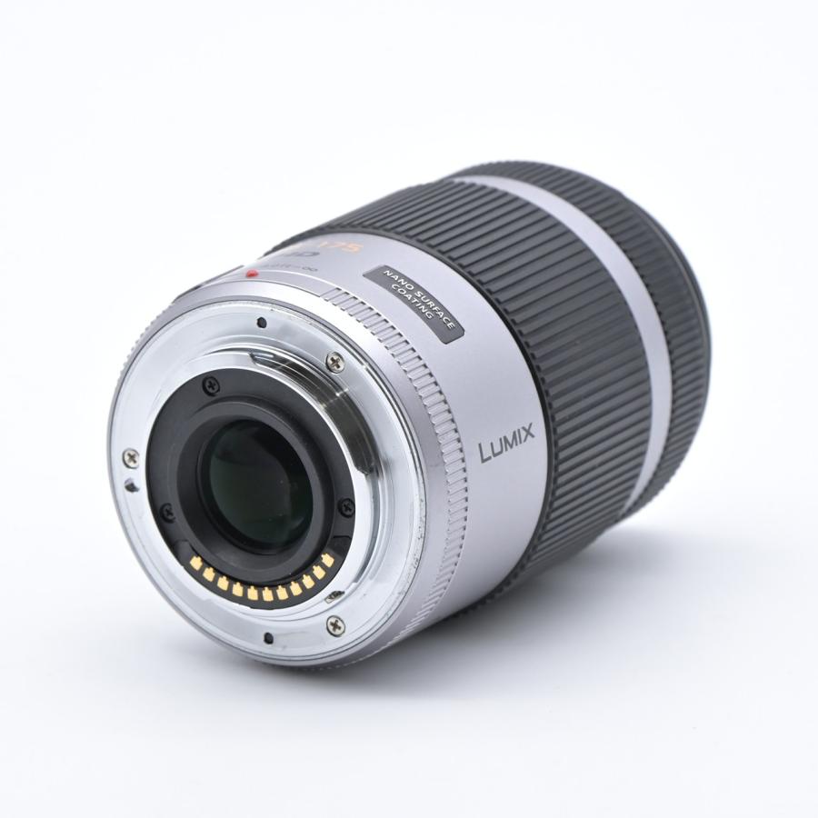 Panasonic パナソニック LUMIX G X VARIO PZ 45-175mm/F4.0-5.6 ASPH./POWER O.I.S. シルバー H-PS45175-S |  | 03