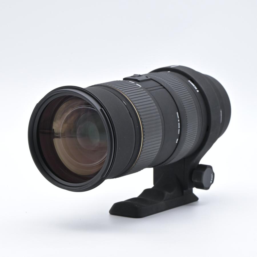 SIGMA シグマ APO 50-500mm F4-6.3 EX DG HSM フォーサーズ用 |  | 01