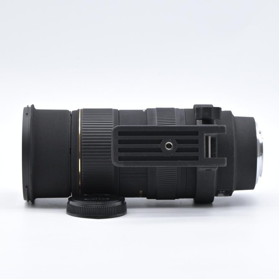 SIGMA シグマ APO 50-500mm F4-6.3 EX DG HSM フォーサーズ用 |  | 05
