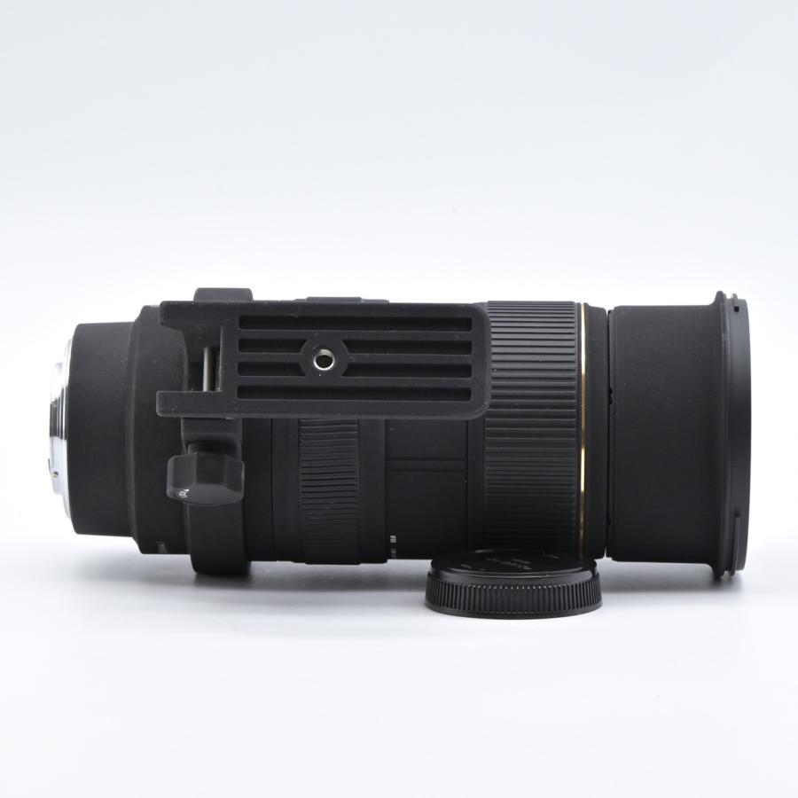 SIGMA シグマ APO 50-500mm F4-6.3 EX DG HSM フォーサーズ用 |  | 06