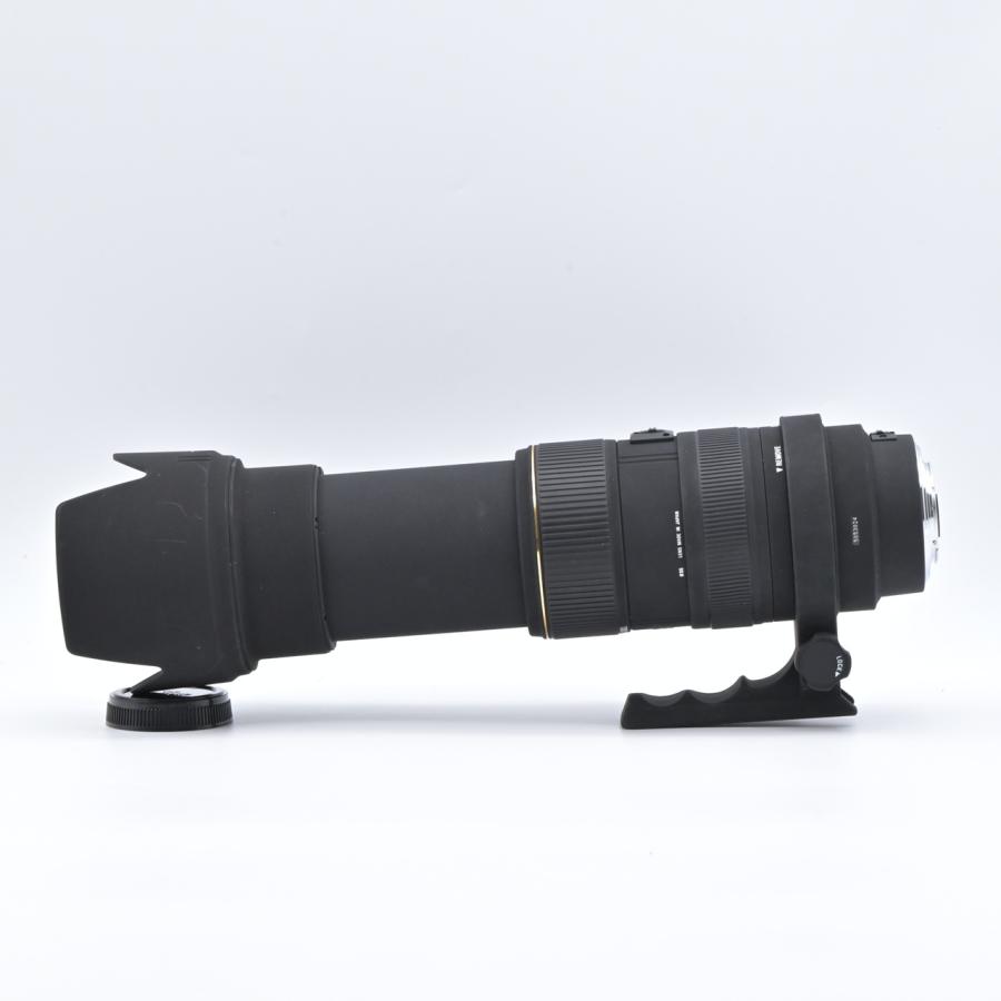 SIGMA シグマ APO 50-500mm F4-6.3 EX DG HSM フォーサーズ用 |  | 07