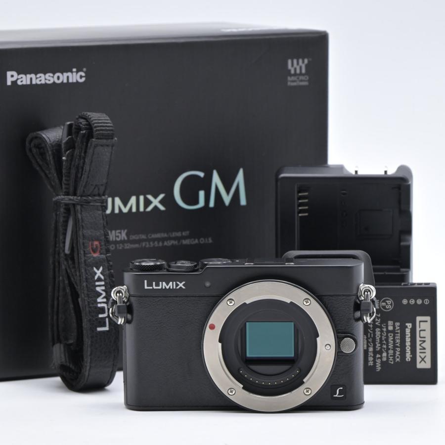 Panasonic パナソニック LUMIX DMC-GM5-K ボディ ブラック | 