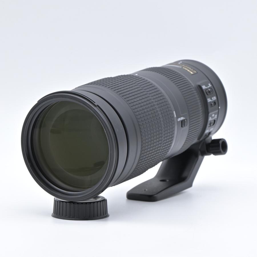 Nikon ニコン AF-S NIKKOR 200-500mm f/5.6E ED VR : フラッグシップ