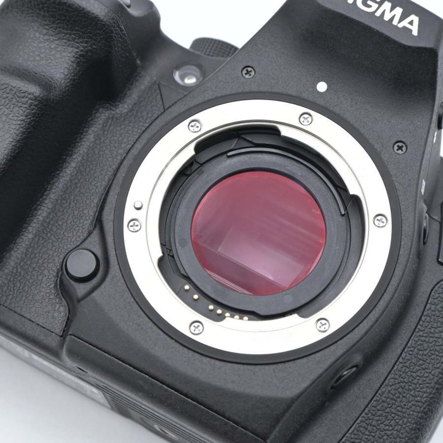 SIGMA シグマ SD1 Merrill ボディ : フラッグシップカメラ - 通販